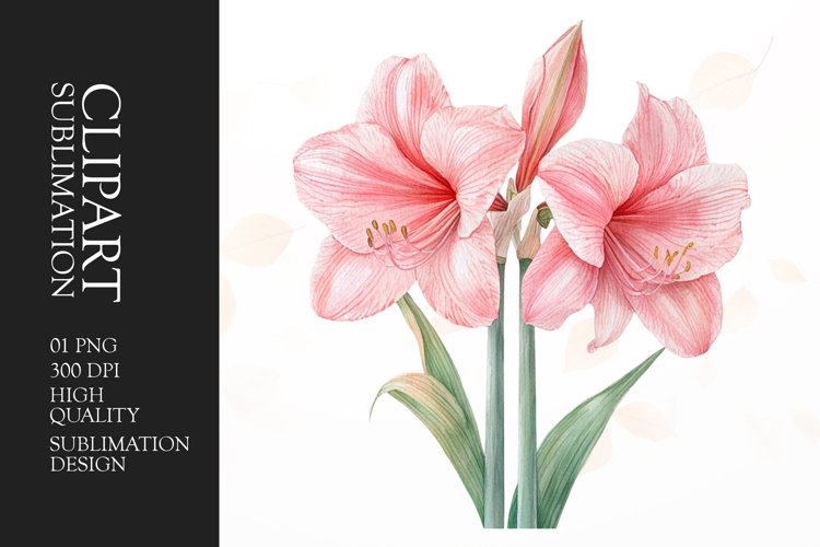 Flower Clipart Image 11