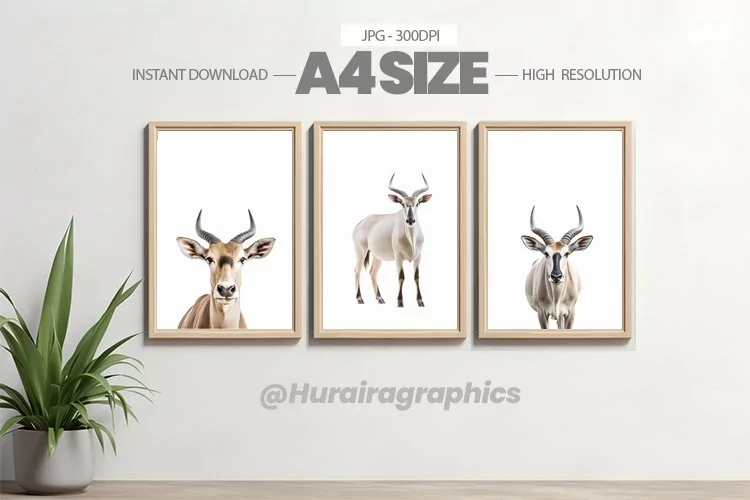 Animal Wall Art - 03 Variations