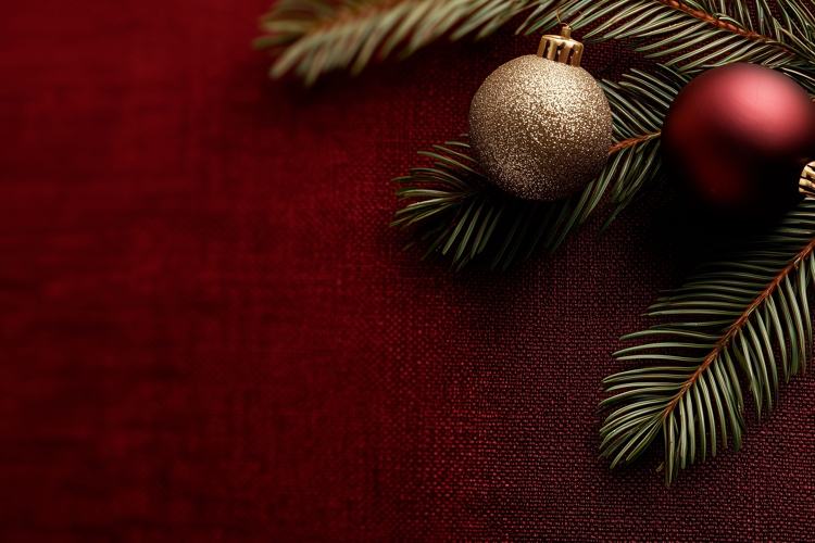 Christmas Branch Background, Holiday Background PNG