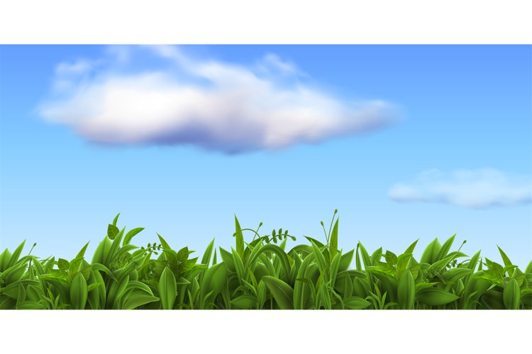 Spring Clipart Image 13