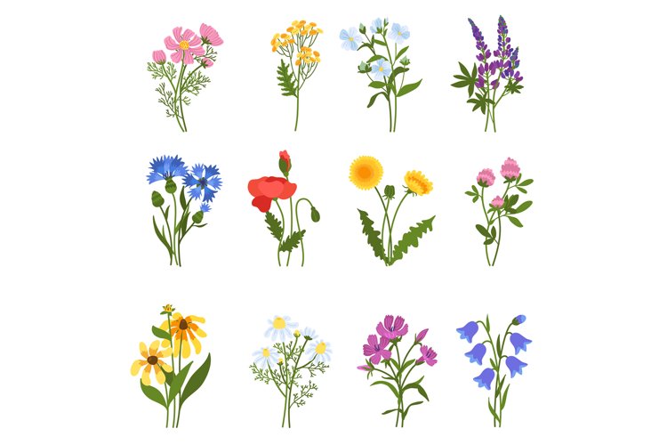 Beautiful Clipart Image 22