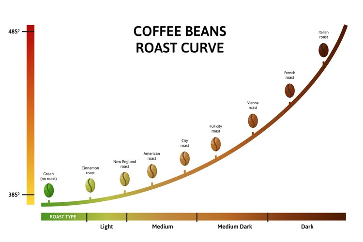 Coffee roasting levels. Roast curve, optimal temperature for example image 1