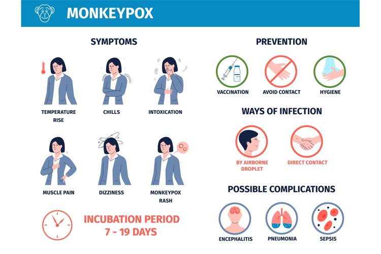 Monkey Clipart Image 23