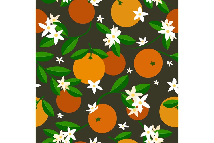 Fruit Vector Image 13