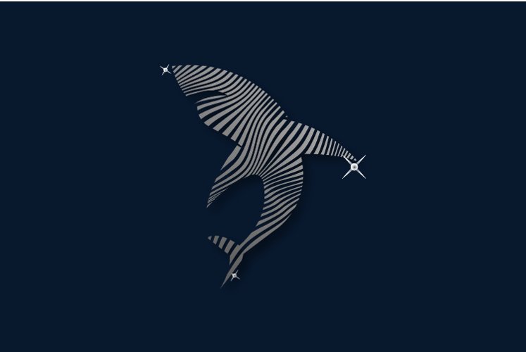 Silver shark logo template example image 1