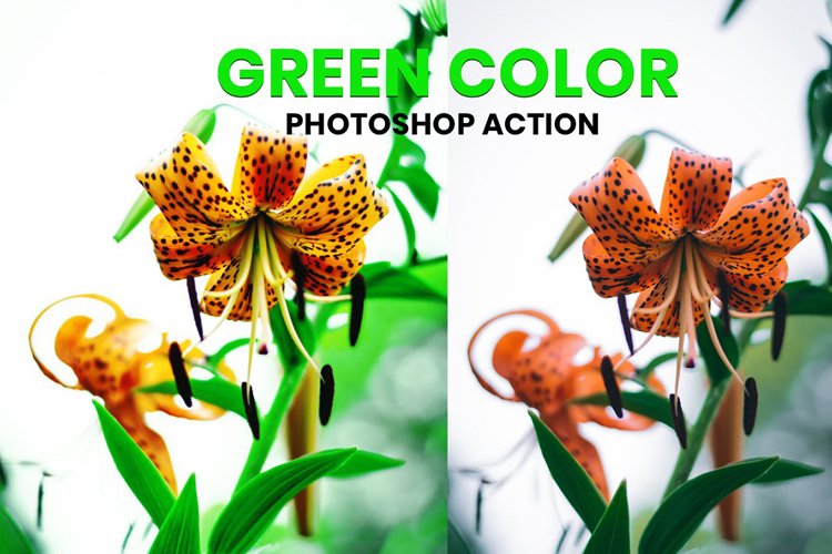 Green Color Photoshop Action