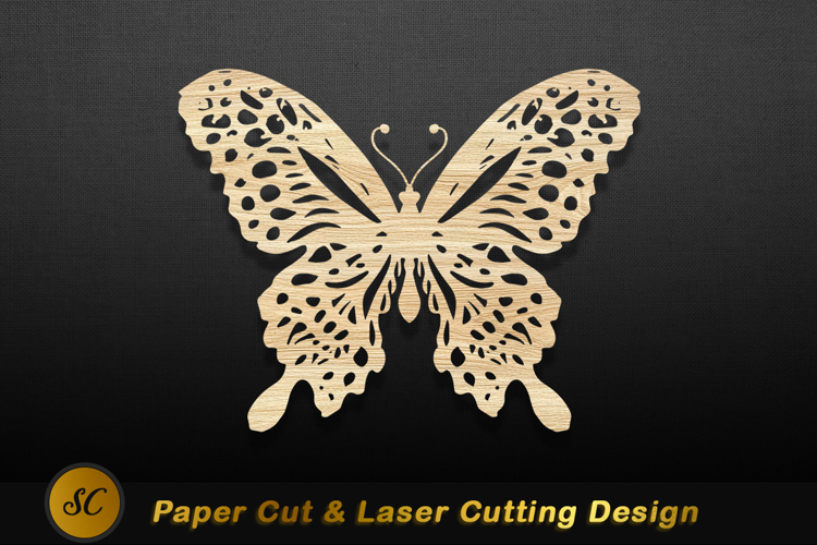 Butterfly Texture Image 17