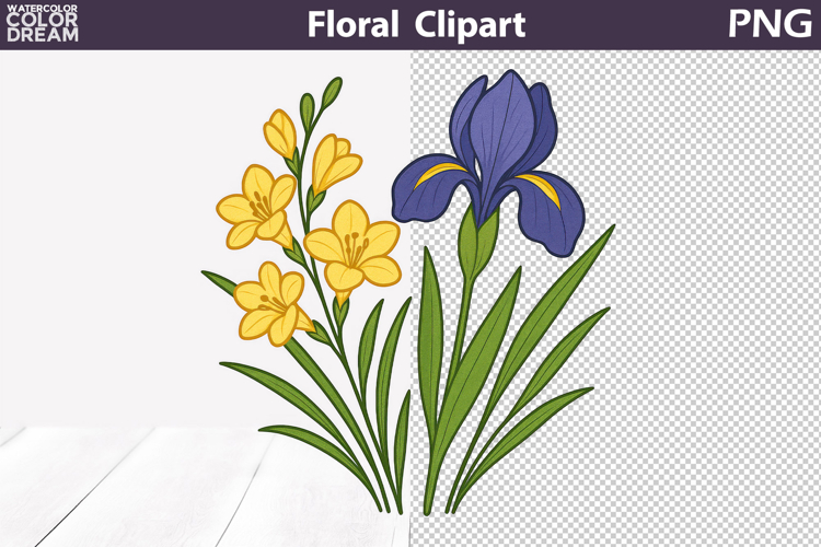 Iris Clipart Image 11
