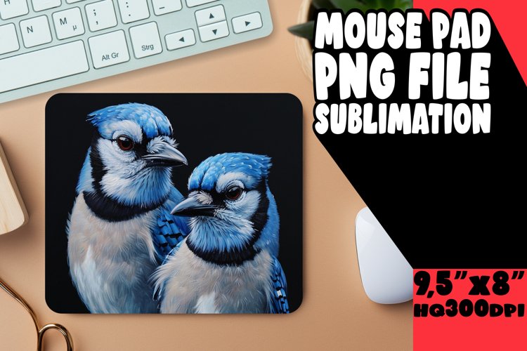 Bird-Inspired Workspace Upgrade