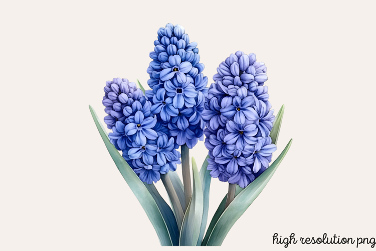 Blue Flower Clipart Image 12