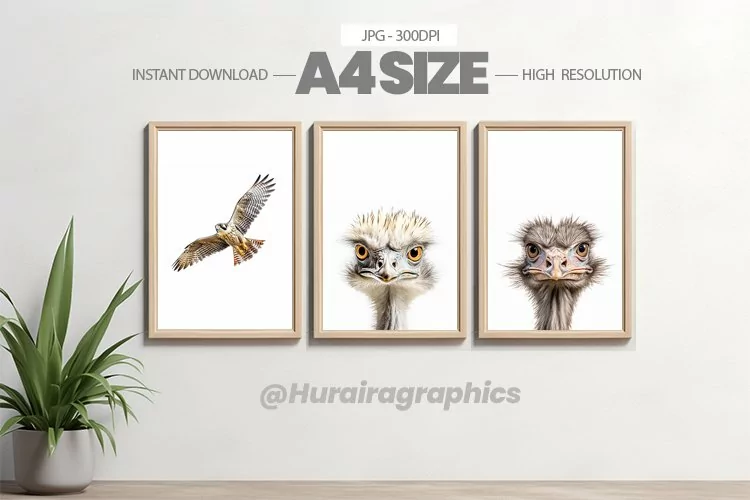 Animal Wall Art - 03 Variations