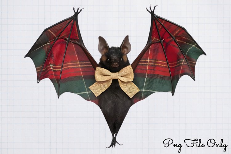 Halloween Png Image 14