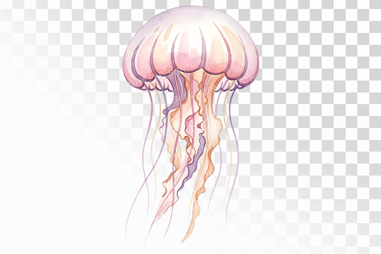 Float Clipart Image 6