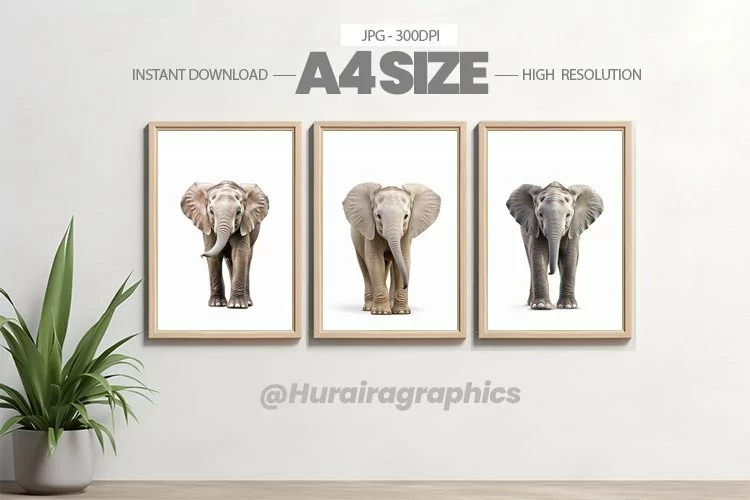 Safari Animal Wall Art - 03 Variations