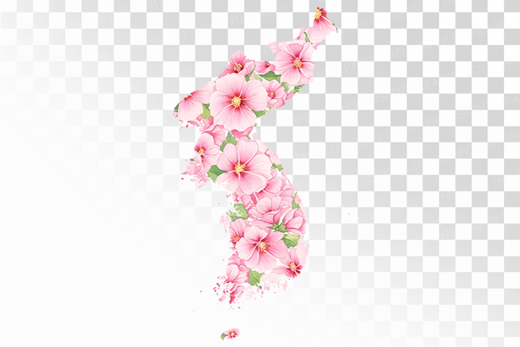 Mugunghwa Blossoming Korean Peninsula Map PNG Independence