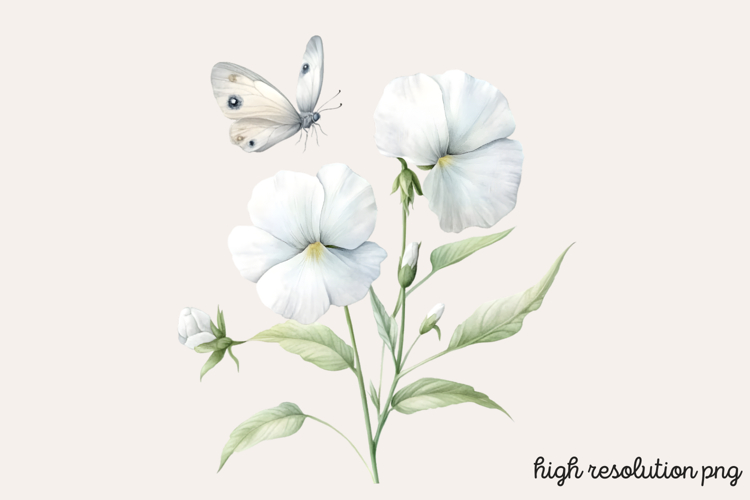 Flower Clipart Png Image 15