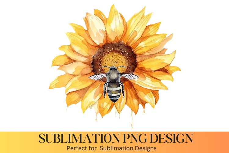 Sunflower PNG Image 8