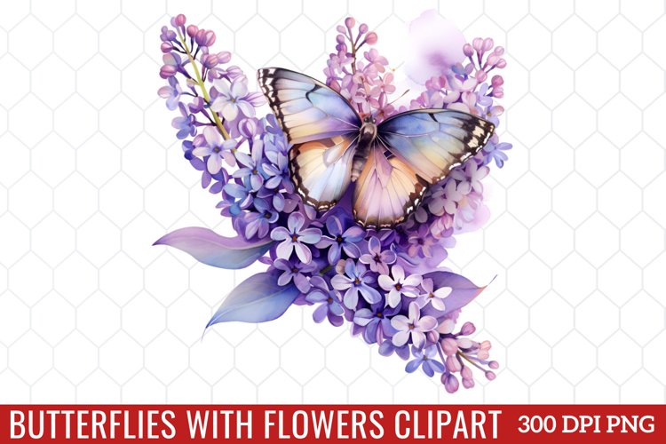 Butterfly Clipart
