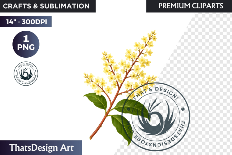 Flower Clipart PNG, Botanical Illustration Floral graphic