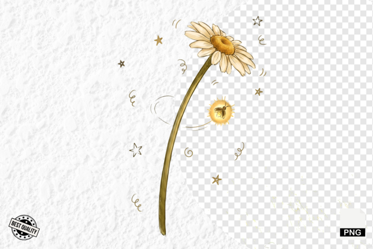 Daisy Flower Clipart Image 19