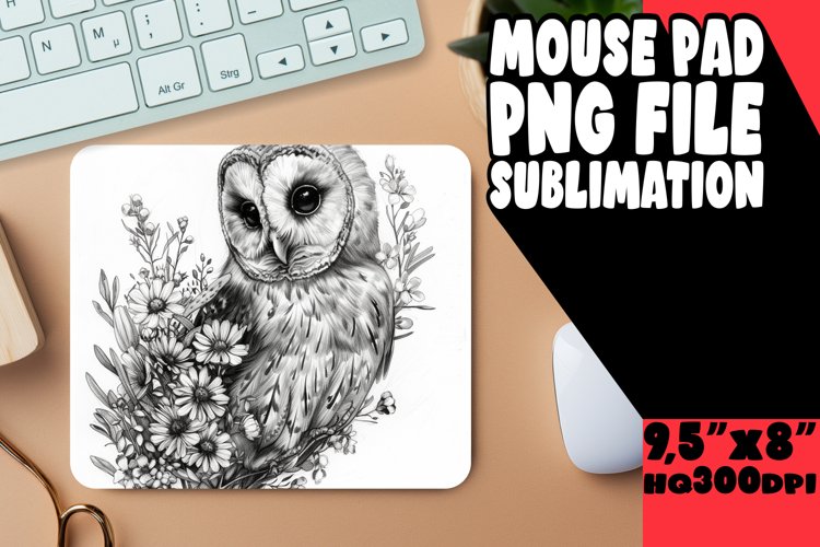 Owl Clipart Image 7
