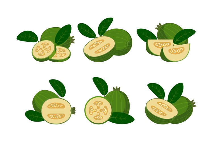 Green feijoa cartoon set