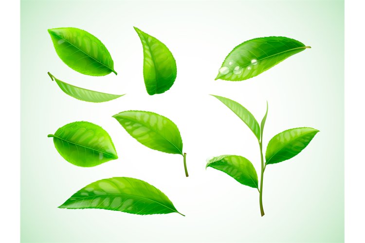 Tea Clipart Image 20