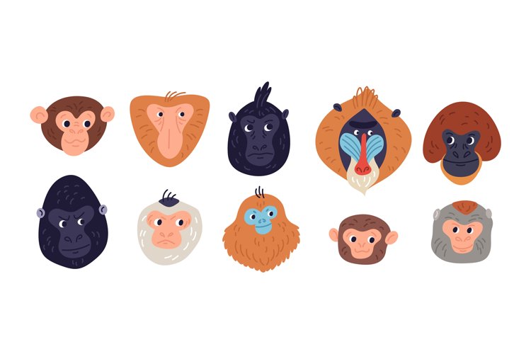 Monkey Clipart Image 9