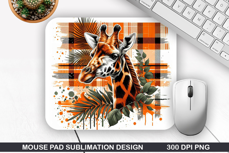 Giraffe Png Image 14