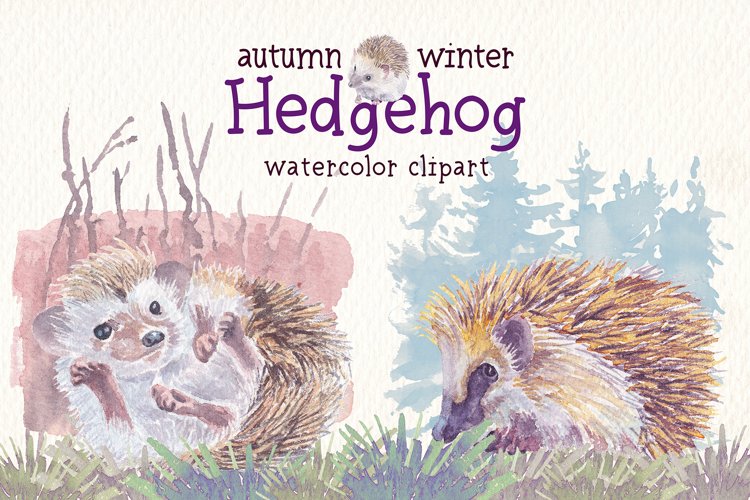 Autumn & Winter hedgehog watercolor clipart example image 1