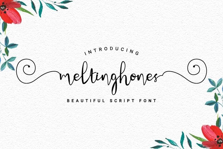 Meltinghones - Beautiful Script Font example image 1