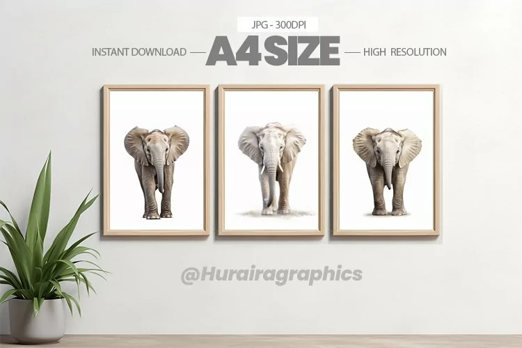 Safari Animal Wall Art - 03 Variations