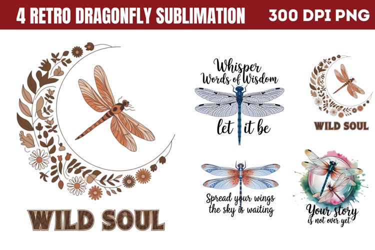 Dragonfly Png Image 3