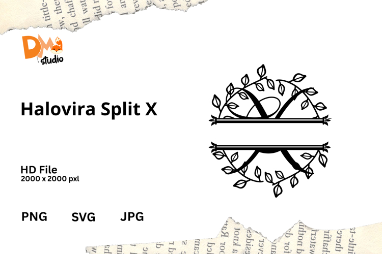 Luxury Font Image 14