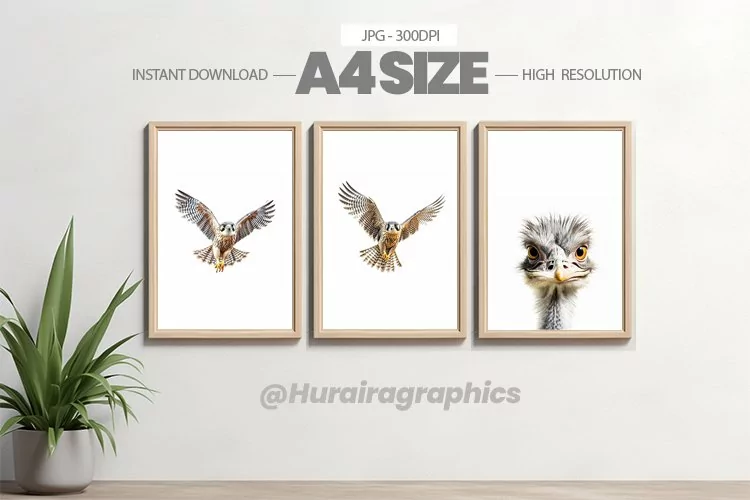 Animal Wall Art - 03 Variations