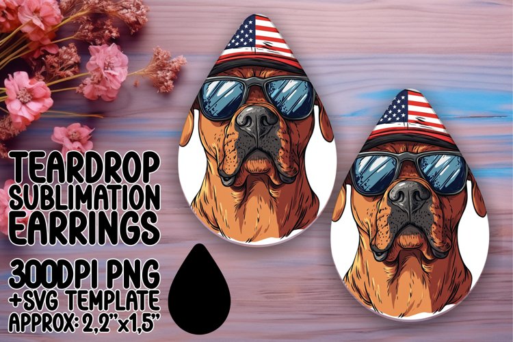 American Flag Clipart Image 11
