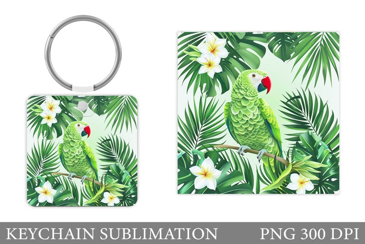 Parrot Clipart Image 5