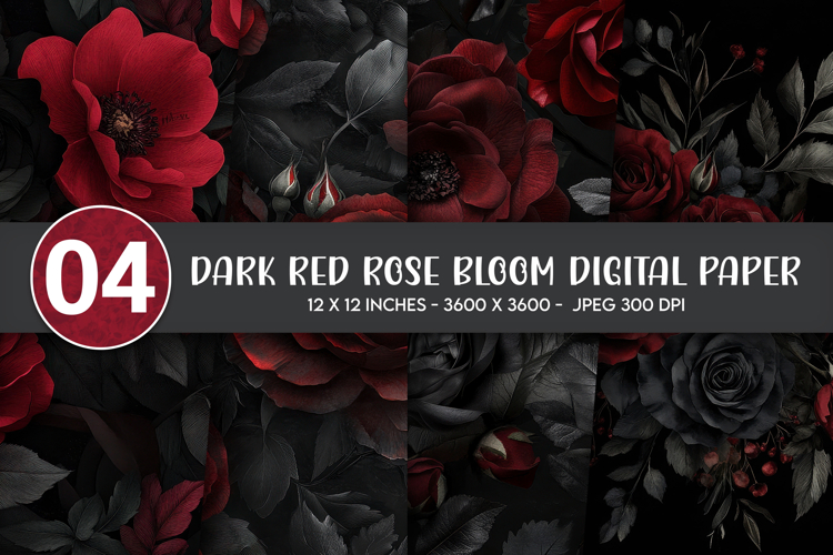 Rose Background Image 20