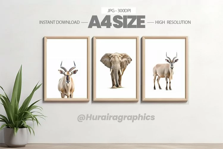 Animal Wall Art - 03 Variations