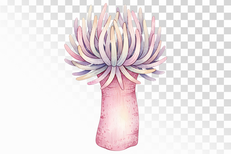 Plant Png Image 7