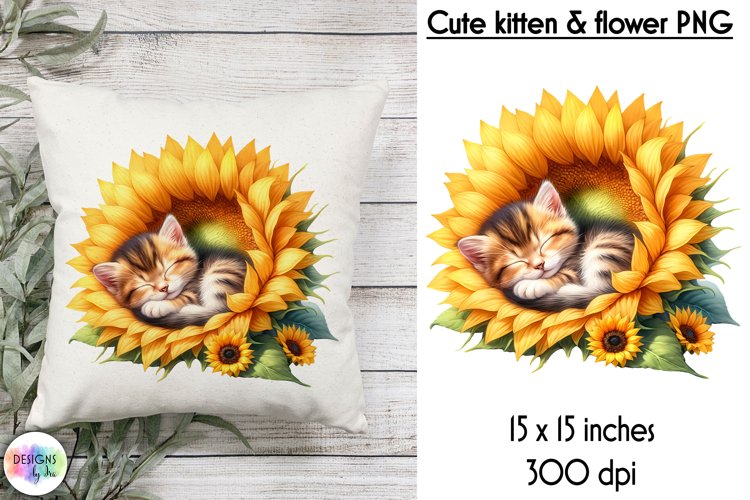 Kitten Png Image 18