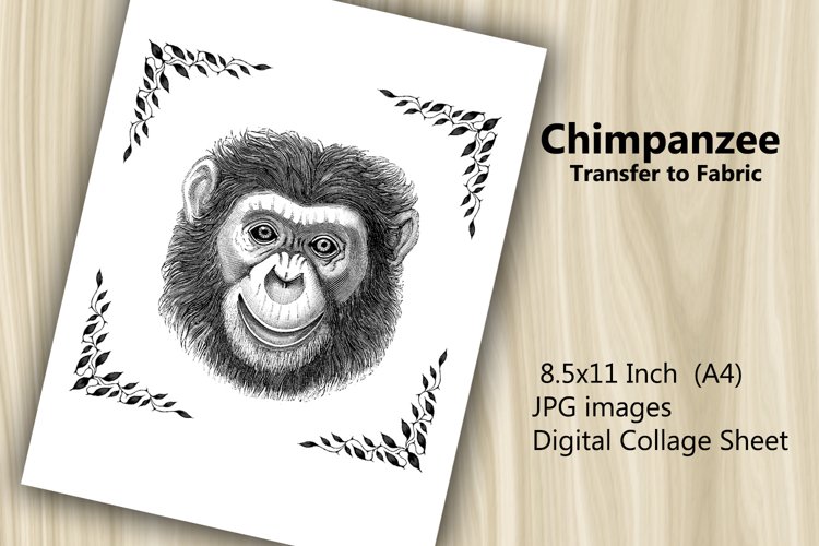 Monkey Clipart Image 22