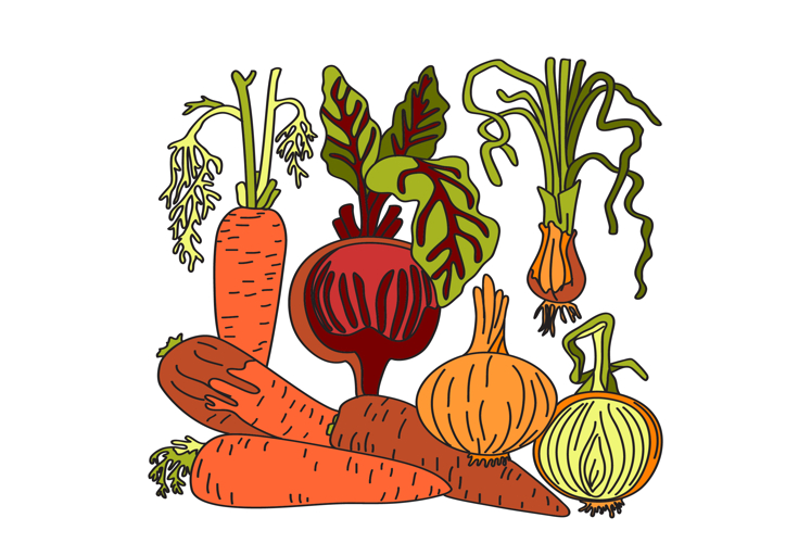Cartoon set of vegetables isolated on white background vecto