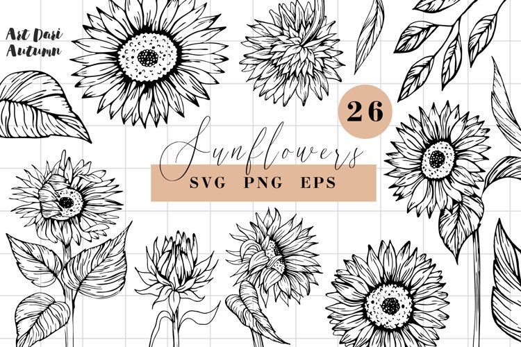 Sunflower SVG, Sunflowers Clipart, Flower svg