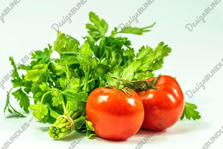 Vegetable Garden Clipart Image 16