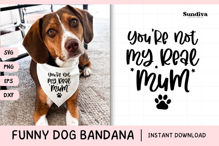 Funny Dog Bandana Quotes SVG | You're Not My Real Mum