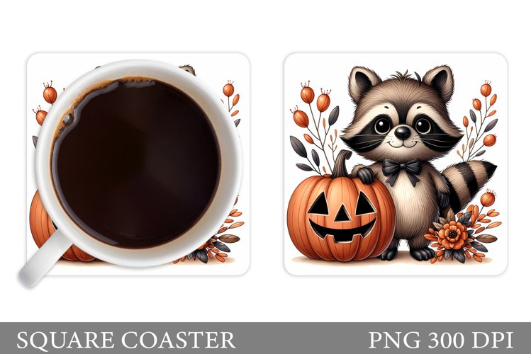 Raccoon Clipart Image 22