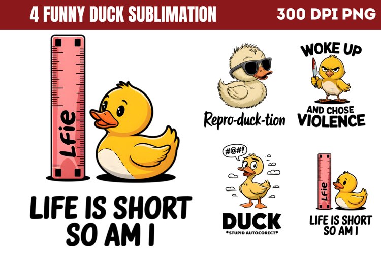 Duck Png Image 12