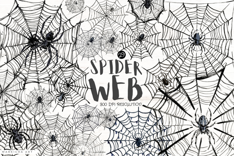 Spider Web PNG