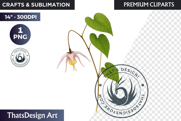 Lavender Png Image 17